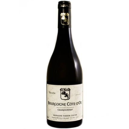 Bourgogne Cte d'Or Domaine Fabien Coche 2021 Blanc 